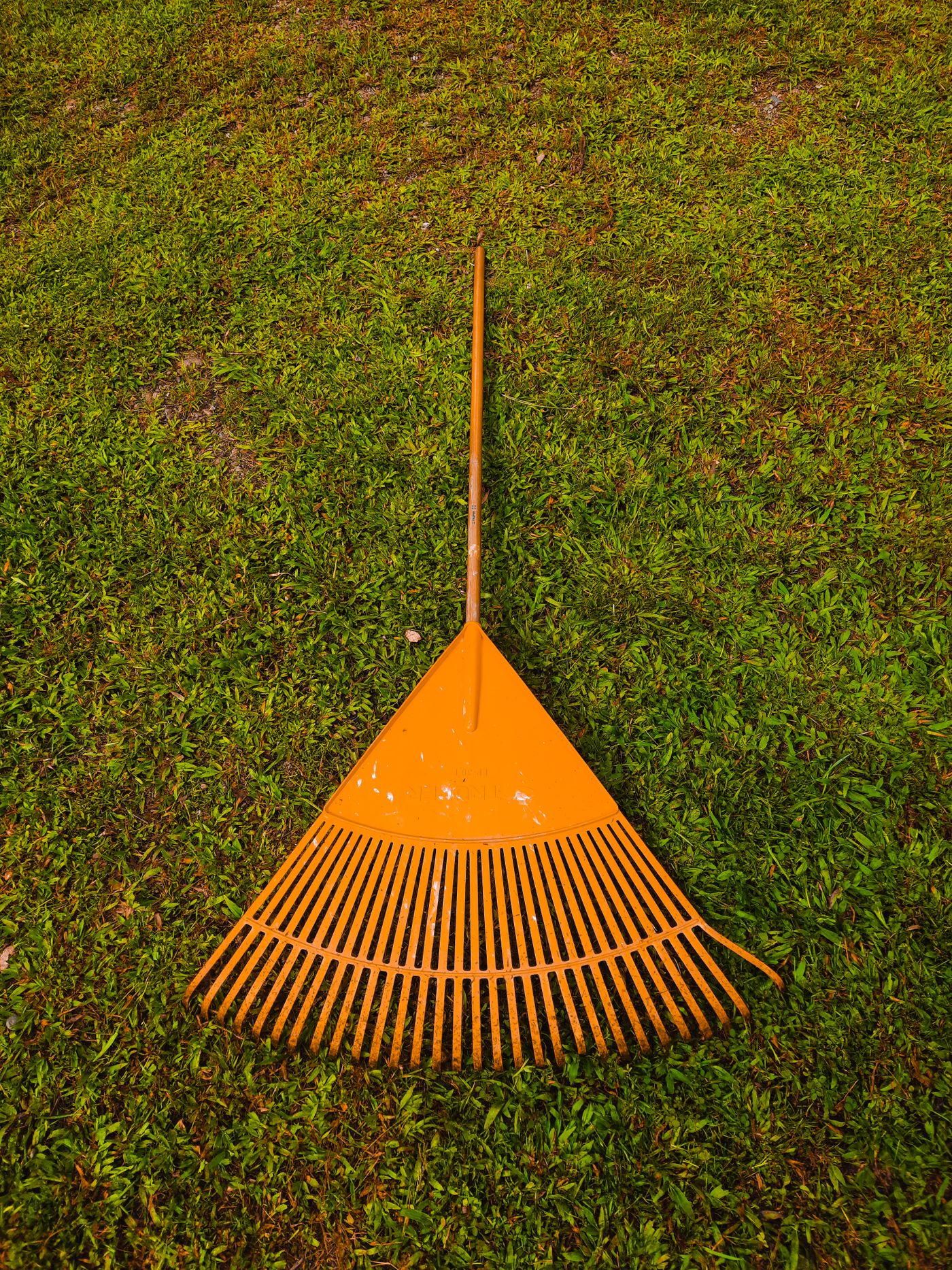 Fall leaf cleanup